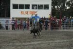 Concluyó Feria Ganadera en Sancti Spíritus