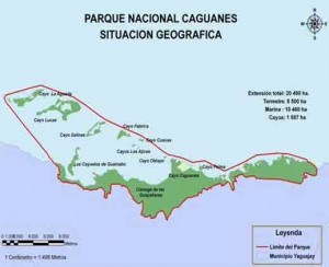 En su conjunto, los cayos están rodeados por la Bahía de Buenavista, accidente litoral más importante del norte de la provincia Sancti Spiritus. 