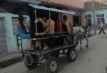 Los conductores de coches de tracción animal constituyen el mayor número de afiliados.   