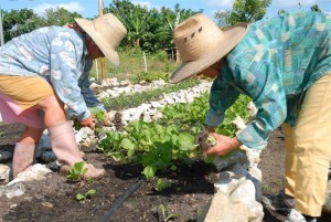 La ANAP fomenta la creación de puestos de trabajo para las mujeres rurales.