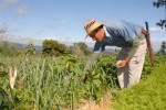 Producir y conservar el suelo, necesidades en la Agricultura moderna.