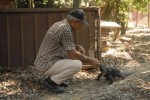 Las iguanas son las mascotas preferidas de Mundo.