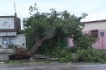 El huracán Sandy provocó afectaciones, sobre todo con cientos de árboles derribados y cortes eléctricos.
