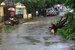 El evento climatológico derribó árboles, postes eléctricos y telefónicos en Santiago de Cuba. (foto: PL)