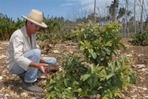 Cuidar el suelo y aplicar la agroecología figuran en la agenda de los técnicos agrícolas y forestales.