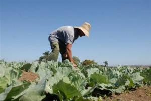 2-	El sector agropecuario comienza a pagar tributos por primera vez, con un régimen especial para estimular esas producciones. 