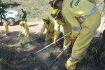 La explotación de nuevos medios crea condiciones para hacer más eficaz el trabajo de extinción.