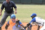 Gallos y Leones volverán a jugar este domingo.