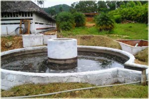 El incremento de la disponibilidad de biodigestores fortalece el aporte de las fuentes renovables de energía.