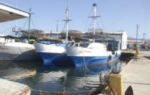 Antes de reiniciar las capturas los barcos fueron reparados totalmente.