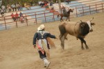 Las actividades de rodeo forman parte del gran espectáculo recreativo.