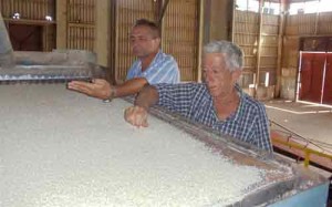 Camilo Meneses (izquierda) y Félix Olivera coinciden en reconocer la calidad del mantenimiento en los molinos de Tamarindo.  Foto: J.Borrego