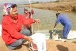 El reconocimiento a las federadas destacadas en varios sectores ocupa un espacio en el cronograma veraniego.