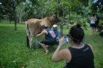 Los turistas extranjeros disfrutan con las tradiciones campesinas cubanas.