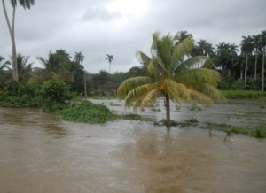 La crecida de ríos, arroyos y el escurrimiento desde las montañas mantenía viviendas inundadas .