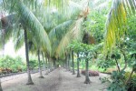 El inhóspito paisaje de antaño devino un edén natural.