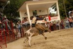 Niños del equipo infantil de rodeo también se han hecho presentes en la feria espirituana.