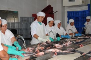 Las capturadas en las desembocaduras de los ríos aportaron toneladas al cumplimiento de Induzaza.