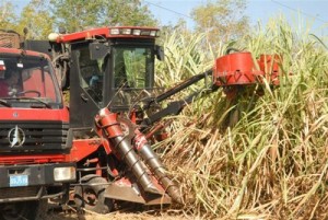 Dada la humedad de los suelos 18 pelotones de corte mecanizado se encuentran paralizados.