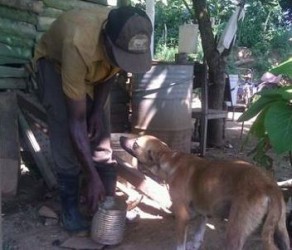 Santos ha hecho suyo el Asilo Canino de Sancti Spíritus, un proyecto de la Fundación de la Naturaleza y el Hombre.