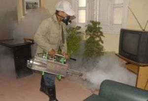 La fumigación intradomiciliaria es una de las medidas que se aplican en Camagüey.