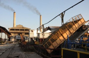 Por concepto de aprovechamiento industrial Uruguay ha ganado más de 2 000 toneladas de azúcar en la presente zafra.  