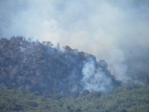 La principal causa de los incendios lo constituye la quema ilegal de terrenos para el pastoreo.  