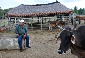 Orlando Obregón es además el mejor productor lechero de la Cooperativa de Créditos y Servicios Fortalecida (CCSF) Bienvenido Pardillo.