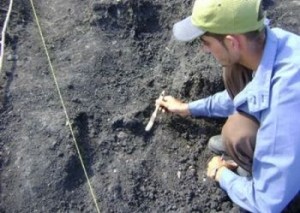 Como resultado de las excavaciones en el lugar, el equipo de especialistas encontró evidencias de la cultura aborigen.