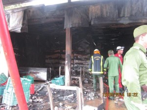 Gracias al actuar de los vecinos se pudieron activar las fuerzas y medios del Cuerpo de Bomberos, del Ministerio del Interior.