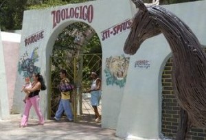 Al Zoológico concurren cada año más de 10 000 personas, fundamentalmente, niños y padres.