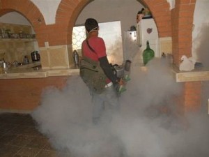 La fumigación intra y extradomiciliaria sigue empleándose para acorralar al Aedes.