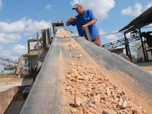 Este año la planta espirituana ha planificado la producción de 1 800 toneladas del producto.