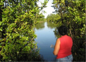 Especialistas de la Estación de Monitoreo Costero de Yaguajay desarrollan múltiples investigaciones y observaciones continuas en estas áreas.