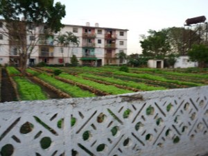 El aumento de la producción de alimentos en todos los espacios aprovechables resulta uno de los temas de debate.