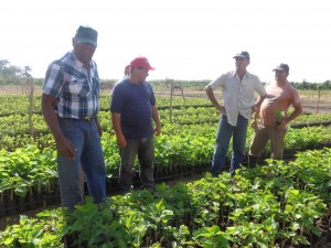 Salvador Valdés visitó el vivero tecnificado de la CCS Tony Alomá, de La Sierpe. 