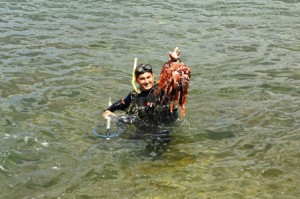 El pez león constituye un enemigo potencial para la biodiversidad marina de la zona. (Foto: Carlos Luis Sotolongo)