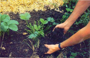 El Taller resulta un espacio que pretende la capacitación tecnológica para lograr una agricultura sustentable.