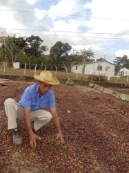 La cooperativa se dedica fundamentalmente al cultivo del café.