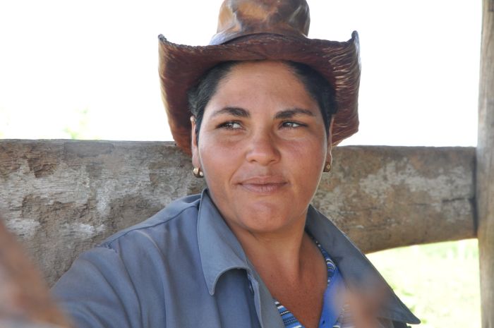 sancti spiritus, mujeres, cooperativas, tierra en usufructo, ganaderia, leche, acopio de leche