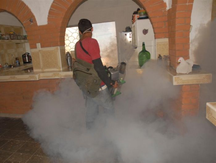 sancti spiritus, aedes aegypti, salud publica, fumigacion, dengue, higiene y epidemiologia, trinidad