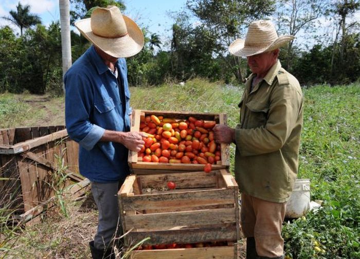 sancti spiritus, partido comunista de cuba, asambleas municipales, produccion de alimentos