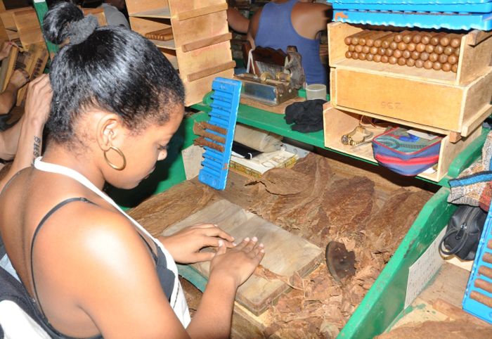 sancti spiritus, jatibonico, tabaco, tabaco torcido, fabrica de tabaco torcido, exportacion