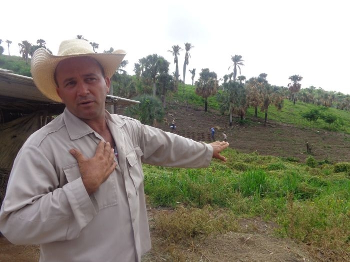 sancti spiritus, campesinos, cebolla, agricultura, tomate, banao