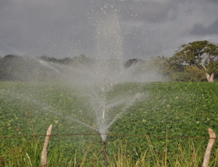 sancti spiritus, anap, campesinos,  cooperativas