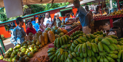 El pasado semestre menguó cinco por ciento el costo promedio para el consumidor de la canasta de productos agrícolas y cárnicos. (Foto: Roberto Suárez)