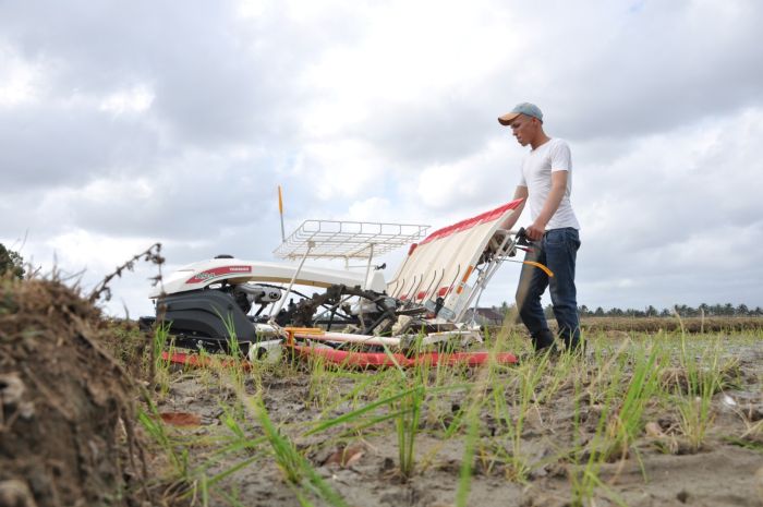 arroz Sancti Spiritus