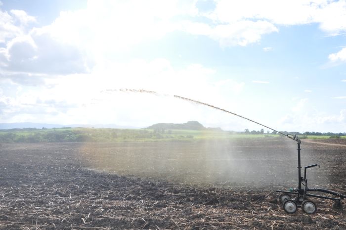 Con este sistema se evita sobremanera el peligro de contaminación y se reduce el gasto de fertilizante químico.