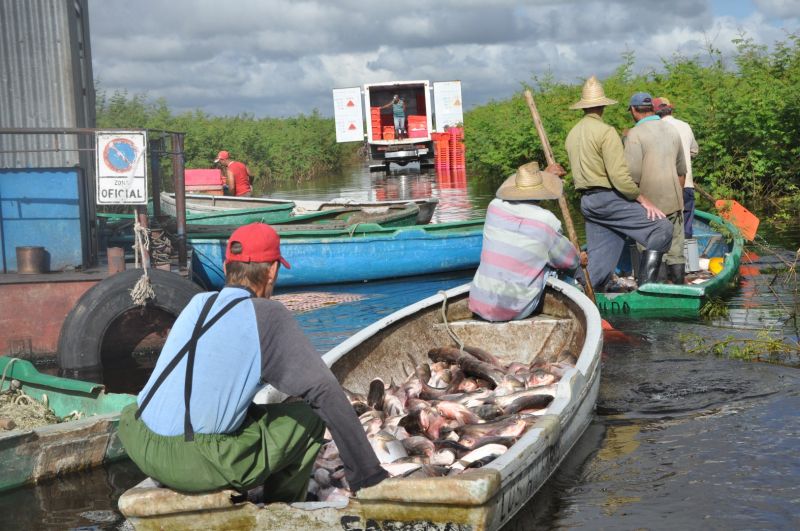 sancti spiritus, pesca, pescaspir, presa zaza