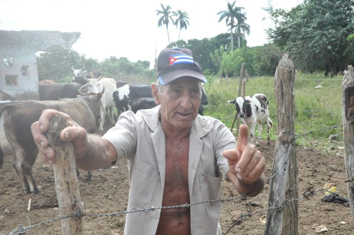 sancti spiritus, acopio de leche 